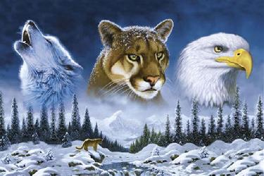 Poster - American wild life Enmarcado de cuadros